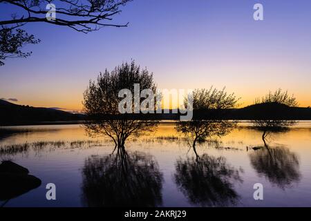 Sonnenuntergang über Llyn Tegid Bala Lake Snowdonia National Park Gwynedd Wales Stockfoto