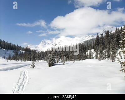 Schneebedeckter Talboden mit Kiefern und wolkig blauem Himmel in der Region Tyrol in Österreich Stockfoto