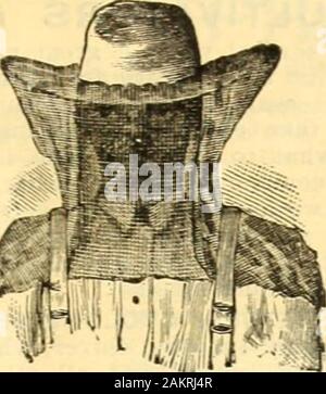 Seedsmen. Dies getan haben, gehen Sie zurück zu thecatcher, die finden Sie alle Bienen gefangen hat. Sehr gent-ly Leben bis die beiden vorderen Beine des Stativs, falten Sie againstthe Main Bar, und das Ganze dann auf den leeren Bienenstock durchführen; der Korb und Dump invertieren. In der Nähe des Bienenstocks und der auslagerungsaktion isdone. Dieses Gerät wird von einem Schwarm zwanzig Meter von Denboden erreichen; es ist leicht und einfach zu handhaben. Nach der Bienen sind die Warenkorb Sie nicht entgehen oncein, und die Gefangenen werden drawthe andere. Die große Besonderheit des Geräts ist, dass es eigenständig, und der Korb halten, wo die Bienen fliegen die dicken - est sind z... Stockfoto