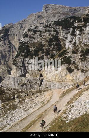 Strada Degli Eroi, pasubio massiv Stockfoto