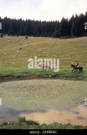 Altopiano di Asiago Stockfoto