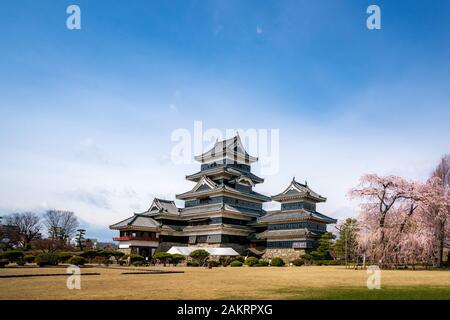 Schloß Matsumoto während der Kirschblüte (Sakura) ist eines der bekanntesten Sehenswürdigkeiten in Matsumoto, Nagano, Japan. Japan Tourismus, Geschichte Gebäude oder Trad Stockfoto