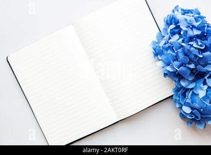 Home office Arbeitsbereich, Notebook, Blaue Hortensie und Zubehör auf weißem Hintergrund. Flach. Stockfoto