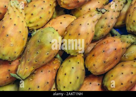 Indische Bild opuntia auf Mercato delle Erbe in Bologna, Hauptstadt und größte Stadt der Region Emilia Romagna in Norditalien Stockfoto