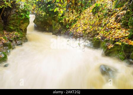 Der starke Winter Wasserdurchfluss in den Banias River (nachal Hermon). Teil des Banias Nature Reserve, im Norden Israels. Lange Belichtung Stockfoto