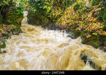 Der starke Winter Wasserdurchfluss in den Banias River (nachal Hermon). Teil des Banias Nature Reserve, im Norden Israels. Lange Belichtung Stockfoto