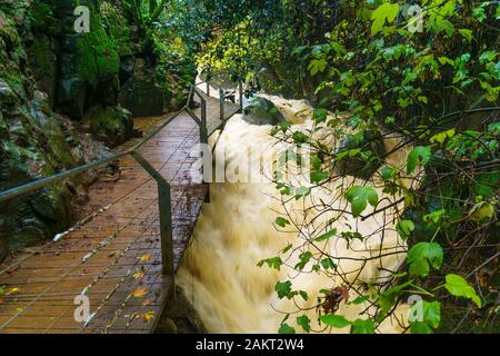 Der starke Winter Wasserdurchfluss in den Banias River (nachal Hermon). Teil des Banias Nature Reserve, im Norden Israels. Lange Belichtung Stockfoto