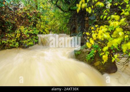 Der starke Winter Wasserdurchfluss in den Banias River (nachal Hermon). Teil des Banias Nature Reserve, im Norden Israels. Lange Belichtung Stockfoto