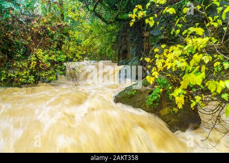 Der starke Winter Wasserdurchfluss in den Banias River (nachal Hermon). Teil des Banias Nature Reserve, im Norden Israels. Lange Belichtung Stockfoto