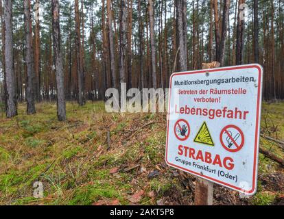 10. Januar 2020, Brandenburg, Grünheide: ein Schild mit der Aufschrift "Munition retten Arbeit - kein Zugang zu den Clearing Website! Gefahr für Leben" ist auf einer Waldfläche am künftigen Standort des Tesla-Gigafactory geschrieben. In einem großen Wald, östlich der A10 Berliner Ring (Autobahn, die uns elektrische Auto hersteller Tesla plant ein gigafactory zu errichten. In einer ersten Phase ab Sommer 2021, 150 000 Modell 3 und Y Elektroautos sind es jährlich gebaut werden. Foto: Patrick Pleul/dpa-Zentralbild/dpa Stockfoto