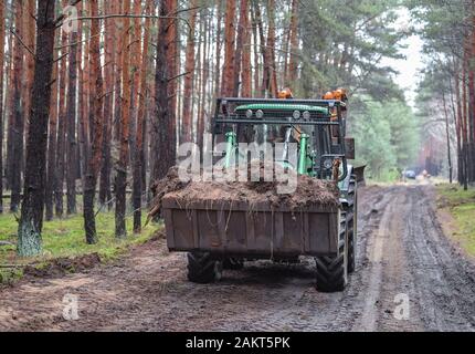 10. Januar 2020, Brandenburg, Grünheide: einen Traktor aus der Landesbetrieb Forst Brandenburg arbeitet an der Entwicklung eines Waldes Pfad auf dem künftigen Standort des Tesla-Gigafactory. In einem großen Wald, östlich der A10 Berliner Ring (Autobahn, die uns elektrische Auto hersteller Tesla plant ein gigafactory zu errichten. In einer ersten Phase ab Sommer 2021, 150 000 Modell 3 und Y Elektroautos sind es jährlich gebaut werden. Foto: Patrick Pleul/dpa-Zentralbild/dpa Stockfoto