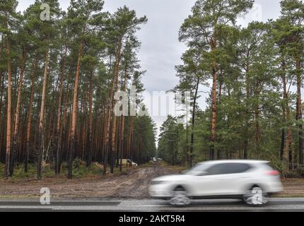 10. Januar 2020, Brandenburg, Grünheide: ein Wald Weg führt von der Landstraße in die Zukunft Tesla Gigafactory Website. In einem großen Wald, östlich der A10 Berliner Ring (Autobahn, die uns elektrische Auto hersteller Tesla plant ein gigafactory zu errichten. In einer ersten Phase ab Sommer 2021, 150 000 Modell 3 und Y Elektroautos sind es jährlich gebaut werden. Foto: Patrick Pleul/dpa-Zentralbild/dpa Stockfoto