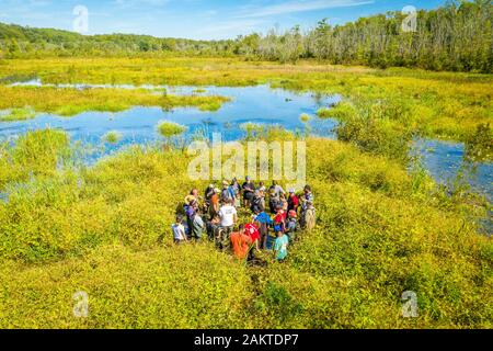 Forscher durch die sumpfigen Feuchtgebiete von patuxent Wetlands Park in Lothian, Maryland Wade. Stockfoto