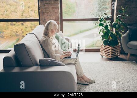 Profil Seitenansicht der netten, ruhigen, fokussierten grauhaarigen Dame, die auf Divan sitzt und E-Mail schreibt, Informationen zum Browsen online Arzt Beratung Stockfoto