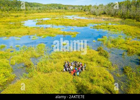 Forscher durch die sumpfigen Feuchtgebiete von patuxent Wetlands Park in Lothian, Maryland Wade. Stockfoto