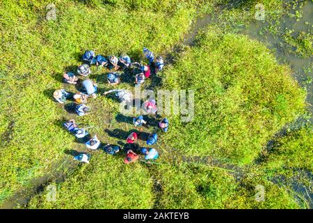 Forscher durch die sumpfigen Feuchtgebiete von patuxent Wetlands Park in Lothian, Maryland Wade. Stockfoto