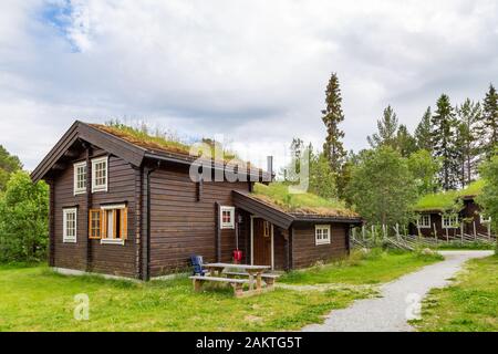 Traditionial Holz-Ökokabinen und Gründach mit Moos und Pflanzen in Norwegen Stockfoto