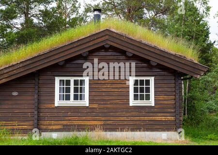 Traditionial Holz-Ökokabinen und Gründach mit Moos und Pflanzen in Norwegen Stockfoto