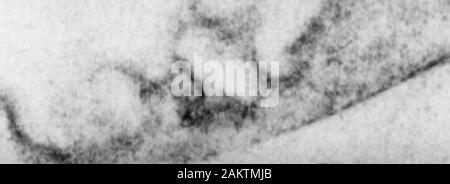 Die Nord-carolina Presbyterianischen. Ury. - Inhalt: ein Crtlise aufder Norfolk Broads; die Flut der thePast; Spaß auf den Stumpf (körpersäfte ofpolitical Kampagnen in Kentucky); Song, von Lilla Cabot Perry; Gassville Grat (Die demolierer Geschichte); Glaves Karriere, mit Hoch- und Karte von Glaves routeacross Afrika; Herrlichkeit, von Richard WatsonGilder; die Rivalitäten der Langen und ShortCodiac; Eine frühere Weise; Casa Brac-cio (Abschluss); Keats in^ iHampBtead; der Einfluss von Keats; Uarrold; Lifein Tuilleries im Rahmen der Zweiten Em-Pire; Sonnys Schulbildung (Seite 2); ebenso - Makuladegeneration: seinen Wert und itsErrors; wie Männer werden Stockfoto