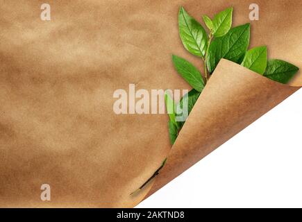 Blatt des Handwerks Papier mit gewellten Ecke und grüne Blätter isoliert auf weißem Stockfoto