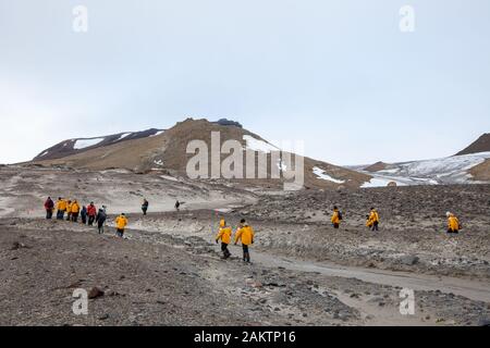 Champ Insel, Franz Josef Land, russische Arktis Stockfoto