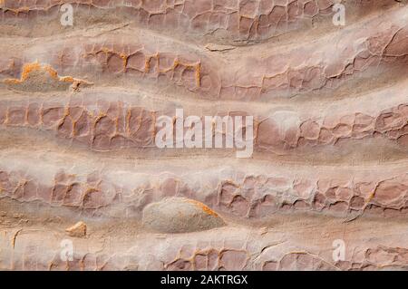 Abstrakter Hintergrund aus grobkördigem rotem Sandstein in gewellten Schichten Stockfoto
