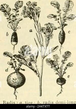 Larousse universel en 2 Bände; nouveau Wörterbuch encyclopédique publié sous la Direction de Claude Augé. Stockfoto