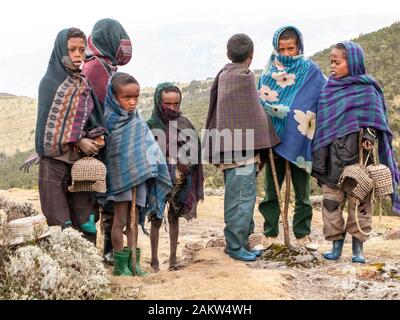 Gruppe der Äthiopische Kinder stehen an der Dorfstraße, Simien Mountains National Park, Äthiopien. Stockfoto