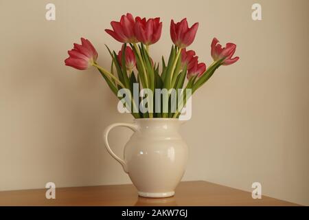 Tulpen eine schöne Frühlingsblume Stockfoto