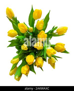 Draufsicht auf den Blumenstrauß gelber Tulpen isoliert auf weißem Hintergrund Stockfoto