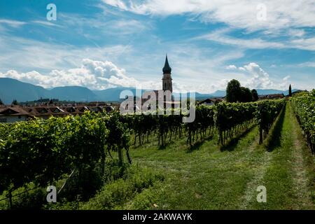 Kirche Kaltern am Kalterner See mit Weinbergen Stockfoto