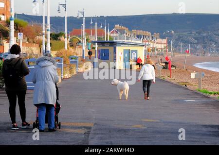 Weymouth. 10. Januar 2020. UK Wetter. Menschen werden immer früh auf, die die meisten von einem trockenen Tag in Weymouth. Kredite in Anspruch zu nehmen: stuart Hartmut Ost/Alamy leben Nachrichten Stockfoto