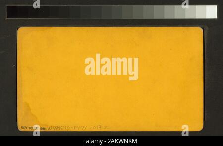 Royal Yeddo japanische Truppe der Royal Yeddo Truppe spielte bei der Nixon Amphitheater 1872.; Royal Yeddo japanische Truppe. Stockfoto