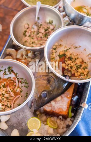 Zutaten für Ceviche Stockfoto