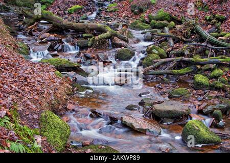 Blick auf den unteren Abschnitt des kleinen Wasserfalls, an der Stelle, an der er mit dem Fluss Douglas verbunden ist, am Tiger's Clough, Rivington, Lancashire Stockfoto