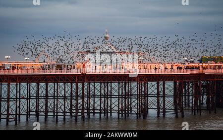 Brighton UK 10. Januar 2020 - Massen am Brighton Palace Pier sammeln ein dramatischer Sonnenuntergang und die starling murmuration wie nassen und windigen Wetter zu beobachten ist Prognose über das Land in den nächsten Tagen zurück. Foto: Simon Dack/Alamy leben Nachrichten Stockfoto