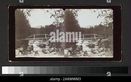 Rustikale Brücke mit Fluss unten Sammlung von Ansichten, einige Stempel James G. Lock, andere T.J., die gesammelt oder wurden von James T. J. G. Sperren oder Sperren. James Gardner war Leiter der Firma Thomas J. Sperren & Sohn, Raumausstatter, Ruhestand im Jahre 1921. Er starb im City Island, Juli 25, 1938, Alter 76. (NY Times, May 27, 1938, 17:2) Robert Dennis Sammlung von stereoskopische Ansichten. Blick auf New York und unbekannten Orten, einschließlich Stadt Insel, Woodlawn Cemetery, Coney Island, Brighton Beach Szenen, Foto, Zelte, Wasser der Vorderseite in Newburgh, Werft und ein Zuhause, otisville Wohnungen und Stockfoto