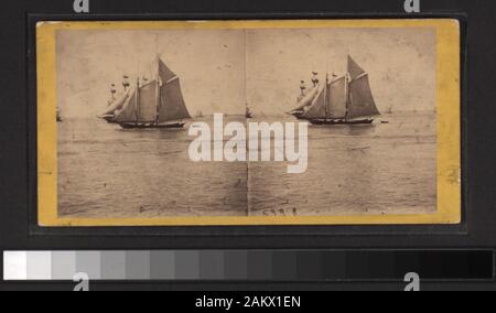 Segeln in der Bucht umfasst einerseits - farbige Anzeigen. Robert Dennis Sammlung von stereoskopische Ansichten. Einige Ansichten haben steuerstempel angebracht. Titel von Cataloger'. Blick auf den Hafen von New York: Fähren, Segelschiffe, Piers und Kaianlagen, Dampfschiffe, einschließlich der Vorsehung und mit Blick auf den Innenbereich, schwebenden Getreidesilos, Lastkähne, Werften, Männer aus dem französischen Mann-von-Krieg Landung in einem dory an der Batterie, die US Barge Office und den Versand news Büro des New York Herald, der Fuß der Whitehall Street, Soldaten auf einen italienischen Mann-von-Krieg mit Bajonetten, Fort Lafayette, Governors Island.; Sai Stockfoto