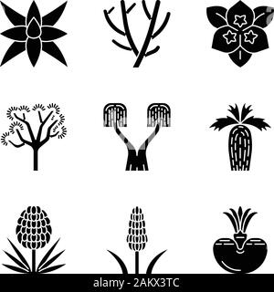 Wüstenpflanzen Glyphe Symbole gesetzt. Exotischen Pflanzen. Yuccas, Kakteen, Palmen, Agaven, Bush. Dekorative Trockenheit resistenten Pflanzen. Silhouette Symbole. Vektor isolat Stock Vektor