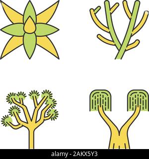 Wüste pflanzen Farbe Symbole gesetzt. Exotischen Pflanzen. Fox tale Agave, Bleistift, Kaktus, Joshua Tree, pferdeschwanz Palm. Isolierte Vektorgrafiken Stock Vektor