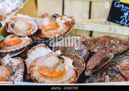 Rohe, unbehackte Jakobsmuscheln zum Verkauf auf dem Fischmarkt. Meeresfrüchte, Schalentiermarkt. Fotobandmuscheln in Folienkiste auf dem Markt in Paris, Frankreich. Stockfoto