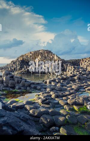 Der Giant's Causeway in County Antrim, Nordirland Stockfoto