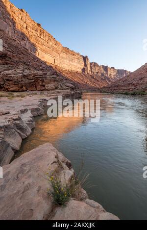 San Juan River an der Mündung des Grand Gulch, im südlichen Utah. Stockfoto
