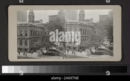 Seitenansicht von William M's Boss Tweed Courthouse nach Datum geordnet. Die meisten Zimmer sind mit Datum und Ort versehen. Robert Dennis Sammlung von stereoskopische Ansichten. Ansichten werden von einer unbekannten, möglicherweise Hobbyfotograf. Blick auf Familie Szenen, Ferien und Porträts, darunter Blick an Bord der Mohawk in Florida, eine Aussicht auf ein Strauß, ein Mann mit einer Kamera auf einem Strand, Blick auf Bäume, 1915; Adirondacks, einschließlich Bäume, Seen, eine Katze, ein gruppenporträt, Wohnungen, mit Blick auf den Innenbereich, einen biberbau (?) und ein Mann in einem Schaukelstuhl sitzend, 1915; Olean, N.Y., Blick auf den Innenbereich einschließlich ein Porträt von Stockfoto