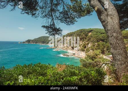 Blick auf die Landschaft auf das türkisfarbene Meer mit einem Strand, der von grünen Klippen umgeben ist. Kopierbereich Stockfoto