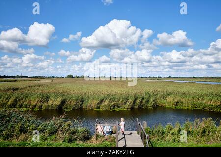 Holländische Landschaft mit viel Wasser und Schilf in der Nähe des Woerdense Verlaat, Utrechter Stockfoto