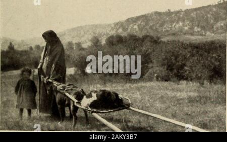 Nordamerikanischen Indianer der Plains. Blackfoot I l MATERIAL CT LTURE:;.-" und die Mandan und unter ihnen ist es durchaus wahrscheinlich, dass es durch die weißen Händler eingeführt wurde. Die Reiter und Pferd abfangen Thai alwaysform ein interessanter Teil der Sammlungen, natürlich kam. Abb. Assiniboin Hund - Travois. In mit dem Pferd und folgten Europäische Modelle. Thenative bridle war ein einfaches Seil oder Tanga durchgeschleift Anden Kiefer. Sättel wurden von zwei Arten; Pads und Frames. Letztere waren aus Holz oder Elkhorn securelybound mit frischen Büffel verbergen, die geschrumpft, wie es getrocknet. Die Mühlen Catlin Sammlung enthält Stockfoto