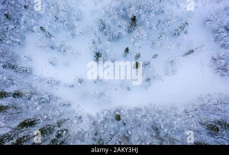 Schneebedeckter Winterwald Luftbild in Österreich Stockfoto