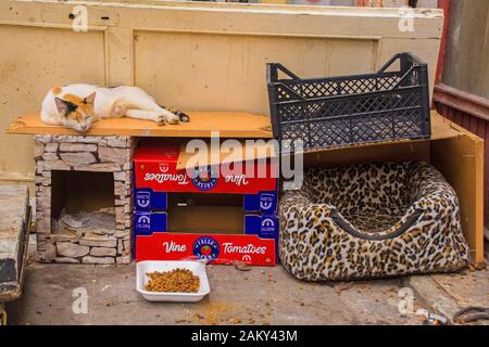 Istanbul, Türkei - 10. September 2019. Eine Katze schläft auf dem Dach eines von Einheimischen für Straßenkatzen erbauten Katzenselches im Stadtteil Ortakoy von Besiktas Stockfoto