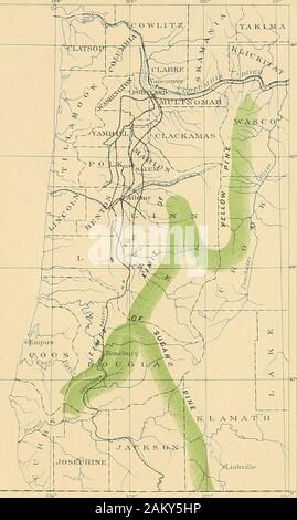 Die Wälder der Vereinigten Staaten. 10 bis 25% 1 T010 KARTE ZEIGT DIE VERTEILUNG VON HEMLOCK IN EINEM TEIL DER WESTLICHEN OREGON MASSSTAB 2 L,  ? I-g-f 5° 7,5 - 12, MEILEN US^ Geological Survey. 19. jährlichen R E PORT TEIL V. PL. Xiii. L MAPSHOWINGTHE GRENZEN OFTELLOWPINE UND ZUCKER KIEFER IN EINEM TEIL OP WESTOREGON qannet.] SAN FRANCISCO FOREST, Arizona. 47 Von diesem bekommen wir ein Ergebnis von 200 Mrd. Füße von stehendem Holz im Zustand, dis-zurechnen, wie folgt: die Füße. Clatsop und Columbia Grafschaften, kommen in den Columbia River 8, 000, 000, 000 Nehalem River 17, 000, 000, 000 Tillamook Bay 6,000,0 Stockfoto